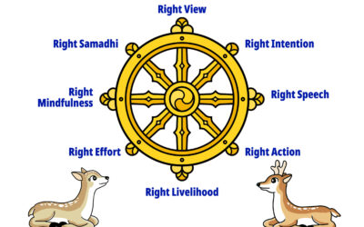 Coming Up: Right Mindfulness