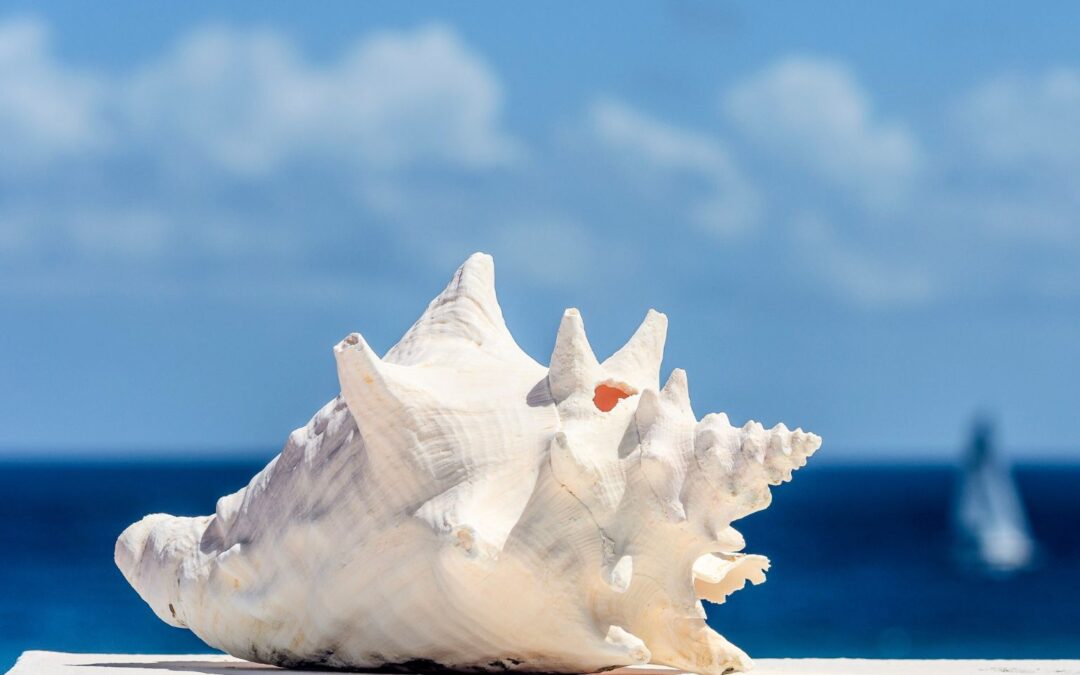 Reflections for “Right View”