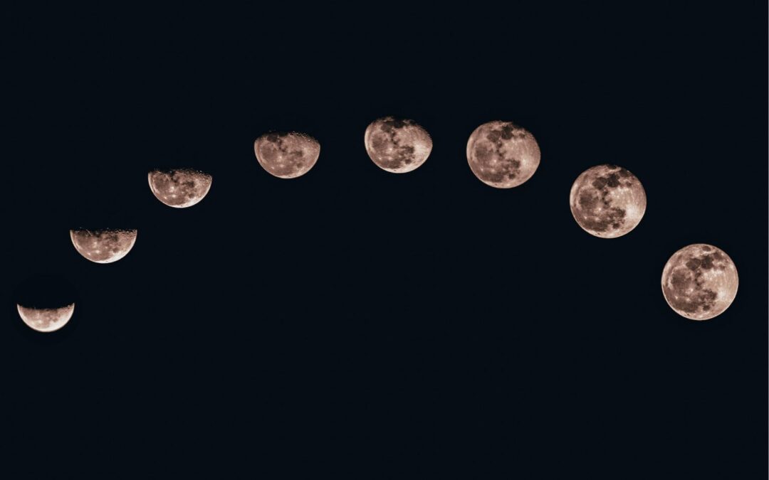 Reflections for “Four Stages of Enlightenment”