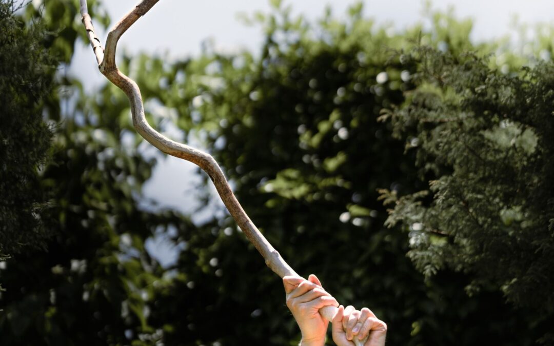 Reflections for “Abbot’s Commentary: Everyone Can Put It Down”