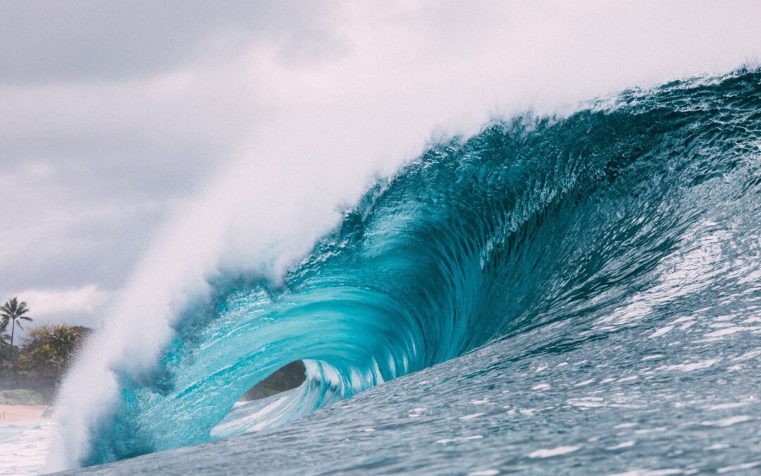 Reflections for “Aspects of Nirvana”