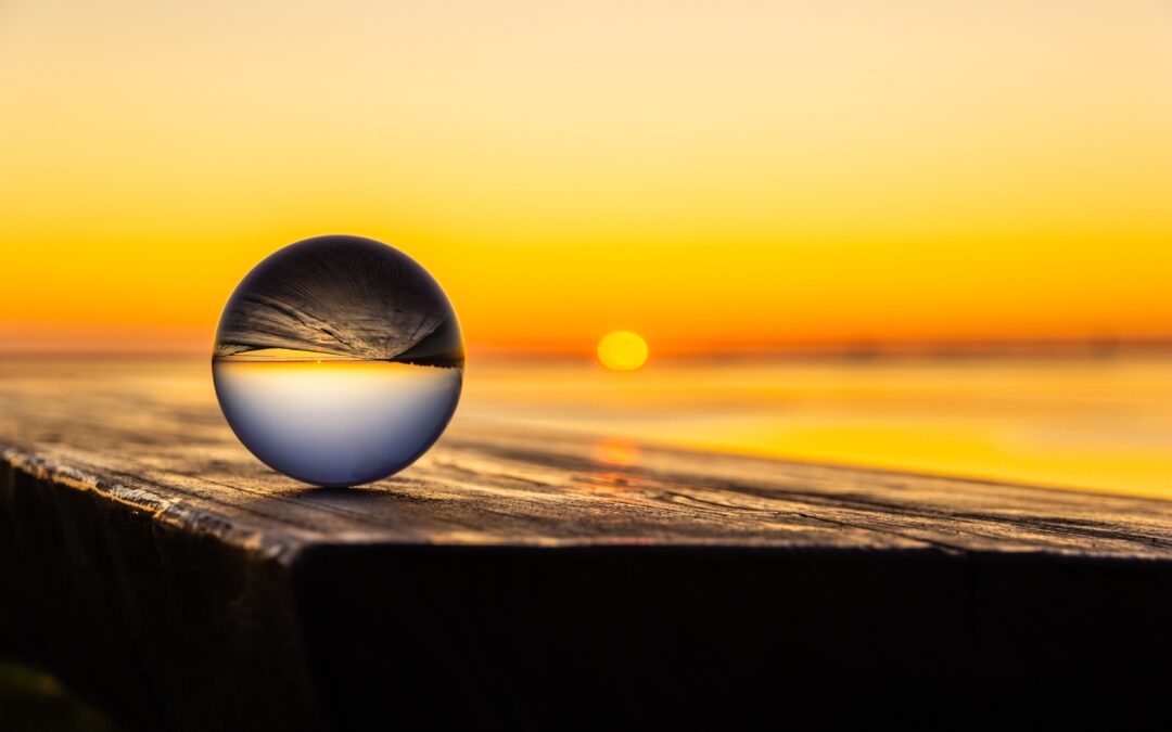 Reflections for “You Already Have Gold in that Ball of Dung”