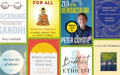 Lion’s Roar reviews Buddhism For All book