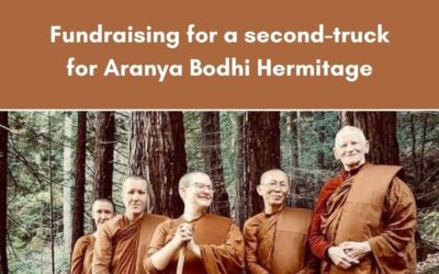 Help These Nuns Take Meng’s Money