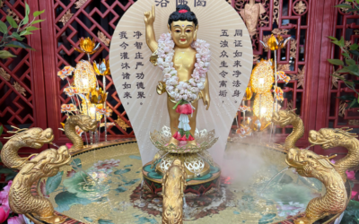 Vesak Day Celebrations & Teachings