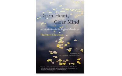 Excerpts from Open Heart, Clear Mind