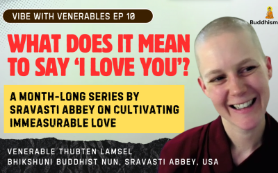 Recording of Episode 10 Vibe with Venerables “What’s Love Got To Do With It? What does it mean to say ‘I Love You’?” with Venerable Thubten Lamsel