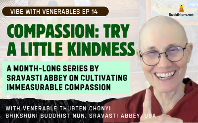 Recording of Episode 14 Vibe with Venerables “Compassion: Try A Little Kindness” with Venerable Thubten Chonyi