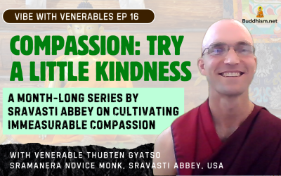 Recording of Episode 16 Vibe with Venerables “Compassion: Try A Little Kindness” with Venerable Thubten Gyatso